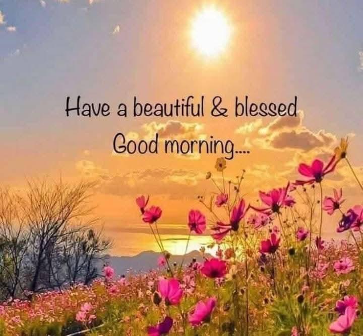 Dimuthu Tillekeratne