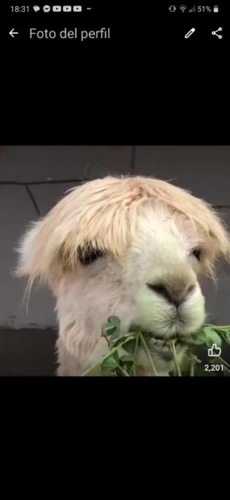 David Molinero casimiro