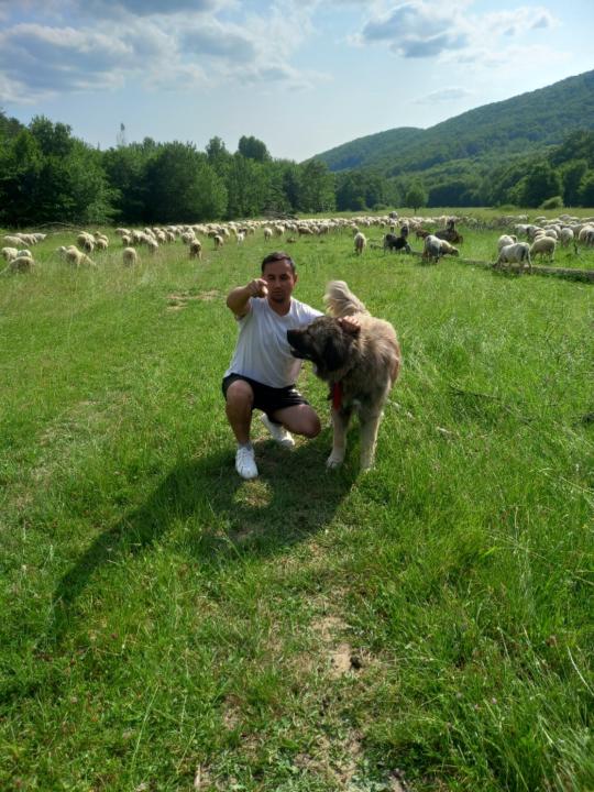 Covaciu Cătalin Marius