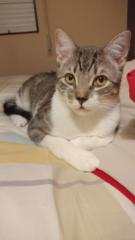 Joan Didac Avila Caldas