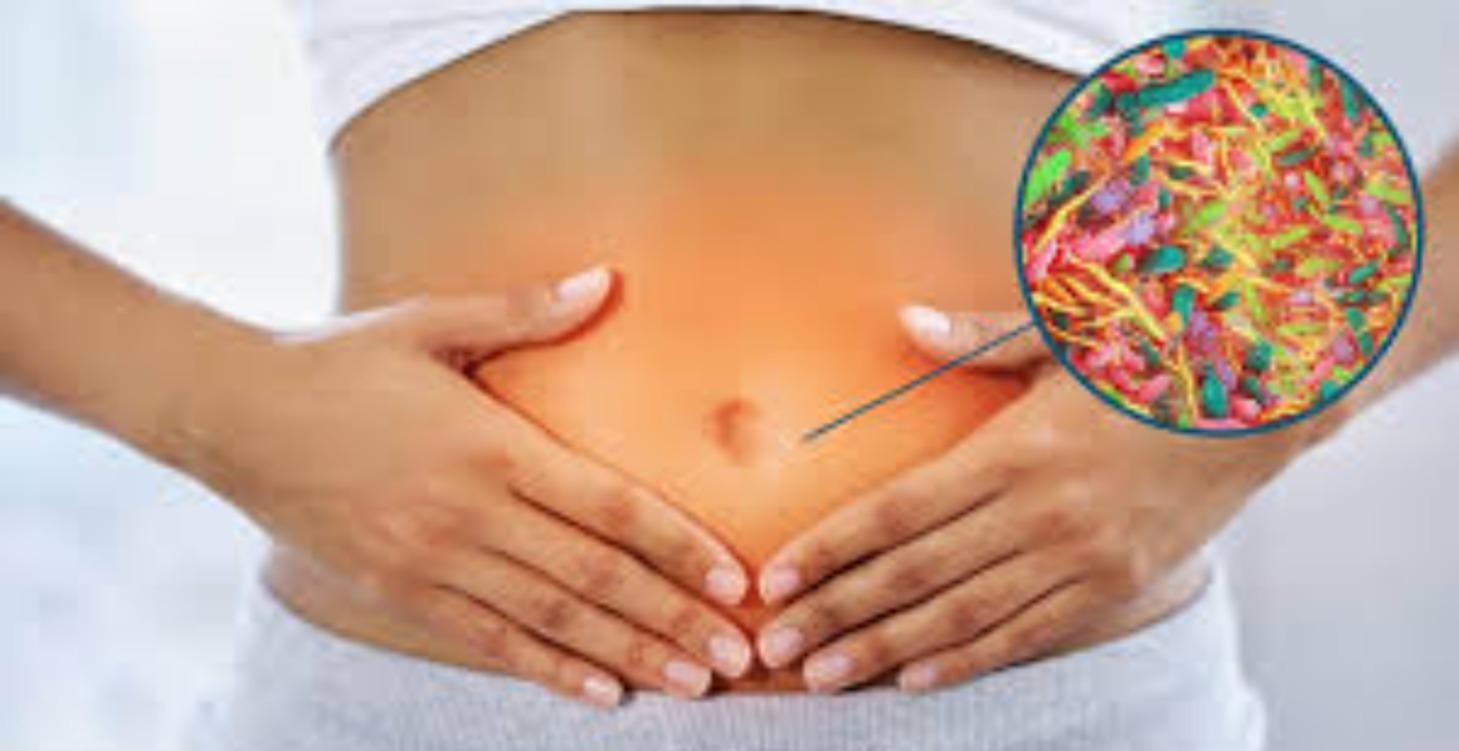 Turpentine shopping list parasite removal method