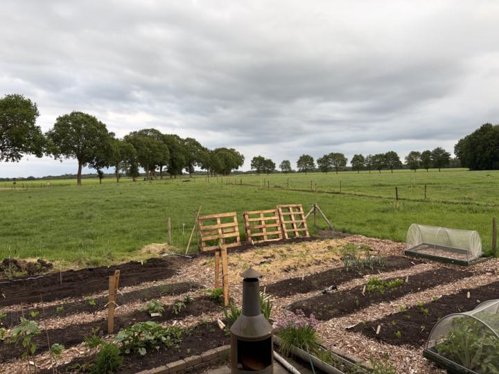 Hoe is het in jullie tuin?