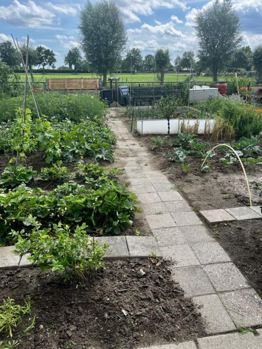 Mijn tuin  