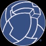 Tim Howard