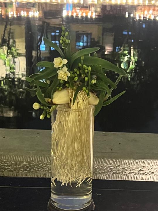 Trần Hải Đường Đường Yêu Nước