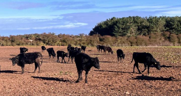 Future Farming East Lothian