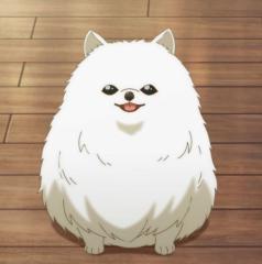 Anyi Hsu