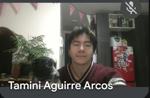 Tamini Aguirre
