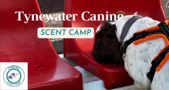 Tynewater Scent Camp