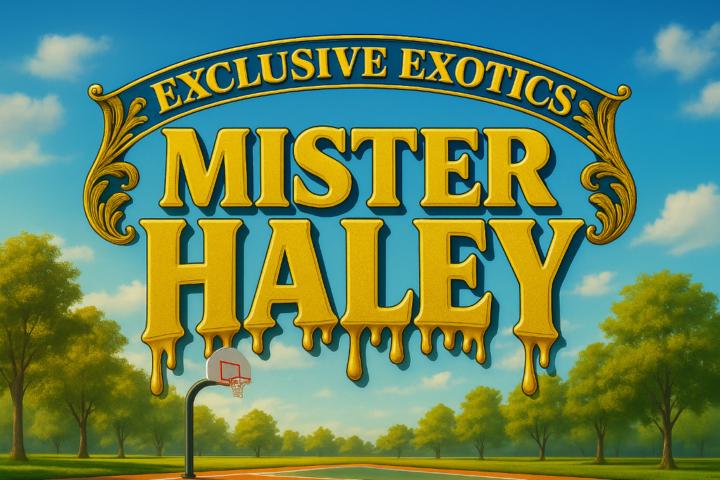 Mister Haley