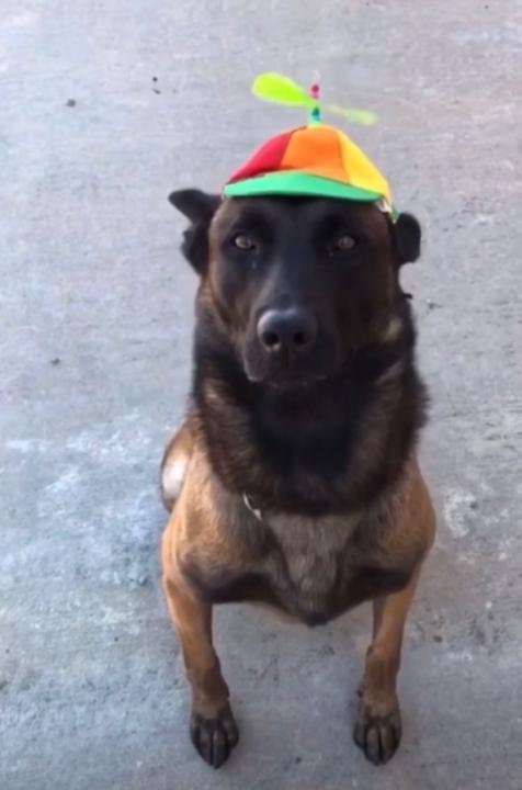 Jokubas Dabravolskas