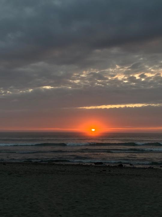 Danielle Alessandro Nieto Aranda