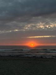 Danielle Alessandro Nieto Aranda