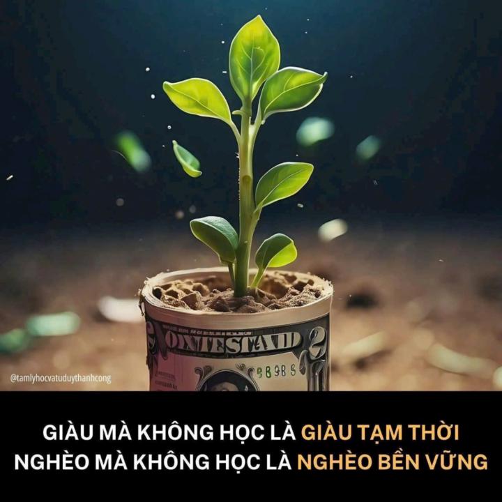 Hoàng duy Nguyễn