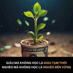 Hoàng duy Nguyễn