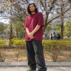 Syed Abdullah Hassan Zaidi