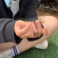 Đỗ Ngân