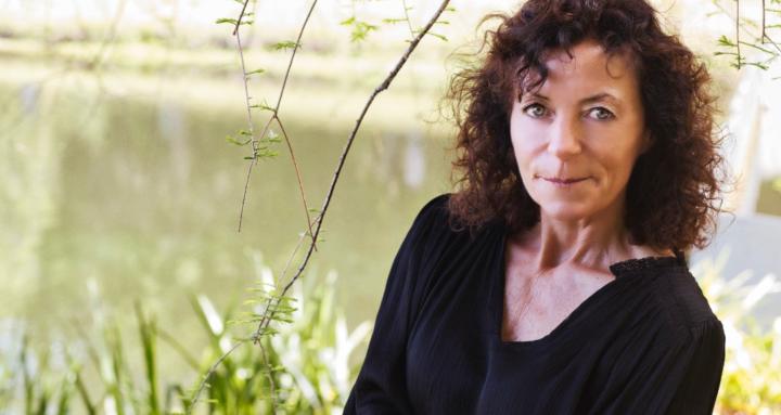 Lyme Disease Recovery Roadmap