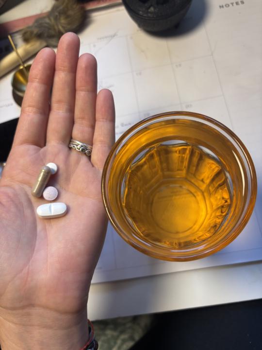 Today Plant Allies 🌱