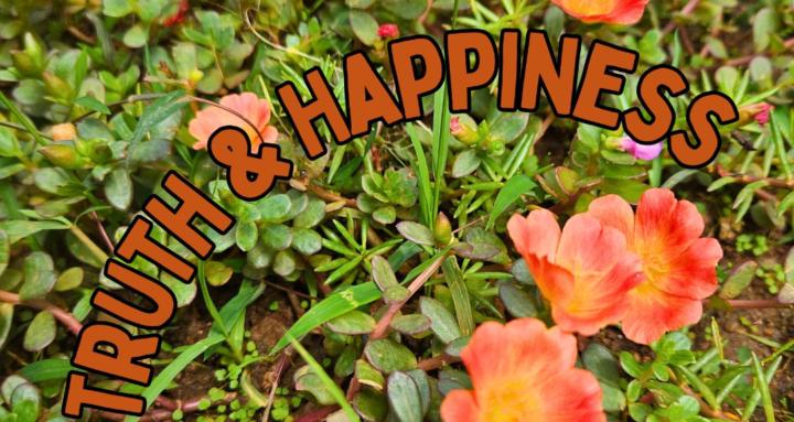 Truth & Happiness