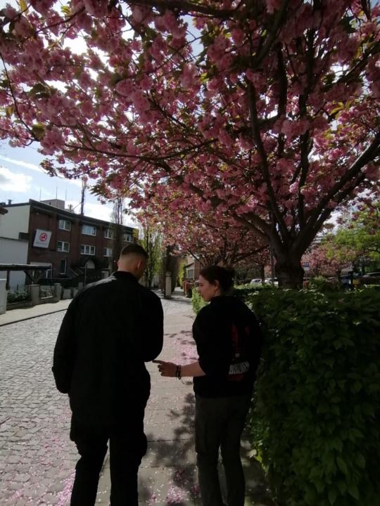 Benedek Domician Janik