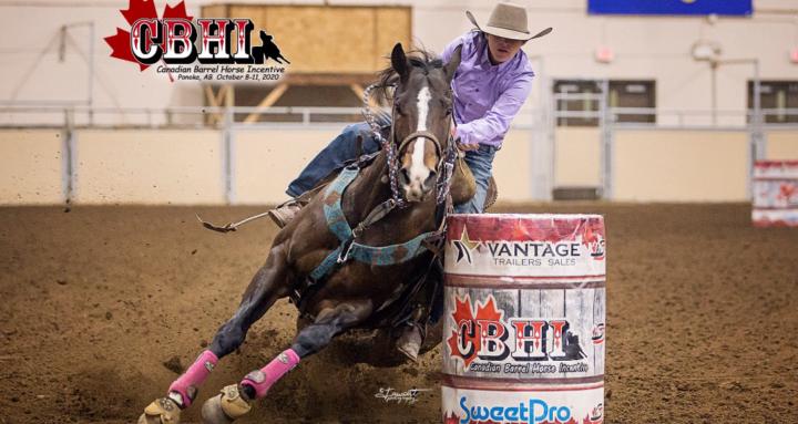 BRYK BARREL HORSES
