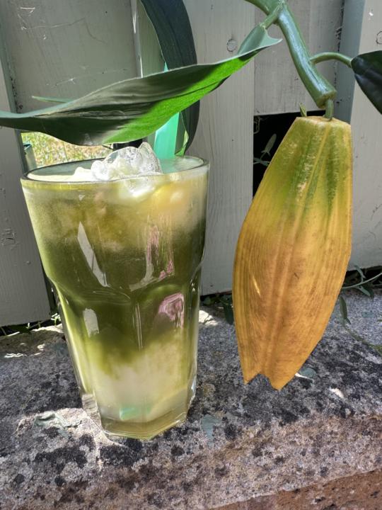 Piña Colada Matcha 🍵🌿🍍🥥