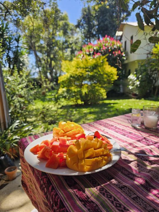 Mango-Papaya a match made in heaven 