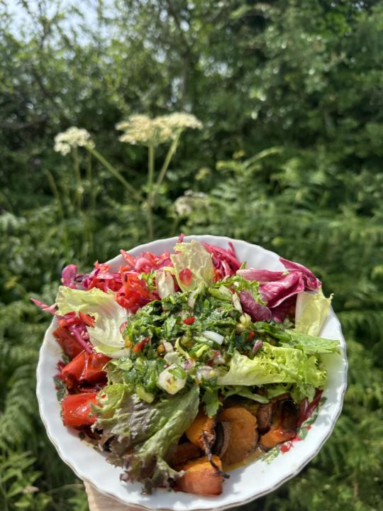 🥗☀️ Simple, nourishing, and full of life.