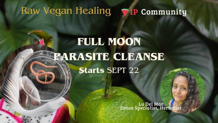🌕🪱 NEW MOON PARASITE CLEANSE