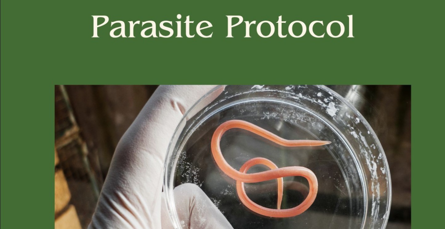 Parasite Protocol 🪱