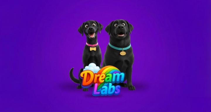 DreamLabs AI Studio