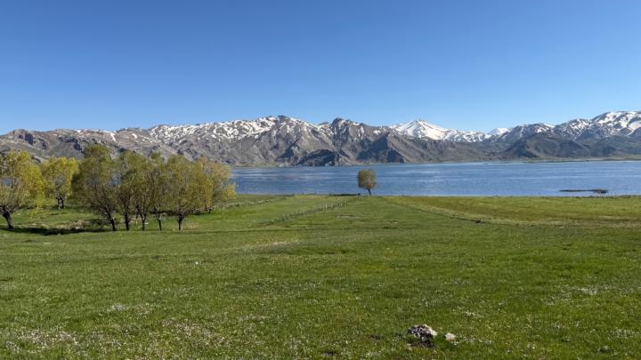 Cihad Ünveren