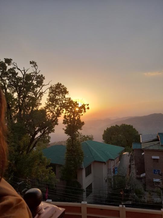 Zaineb Amir