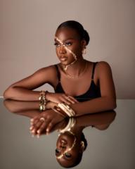 Introverted Ceo mindset