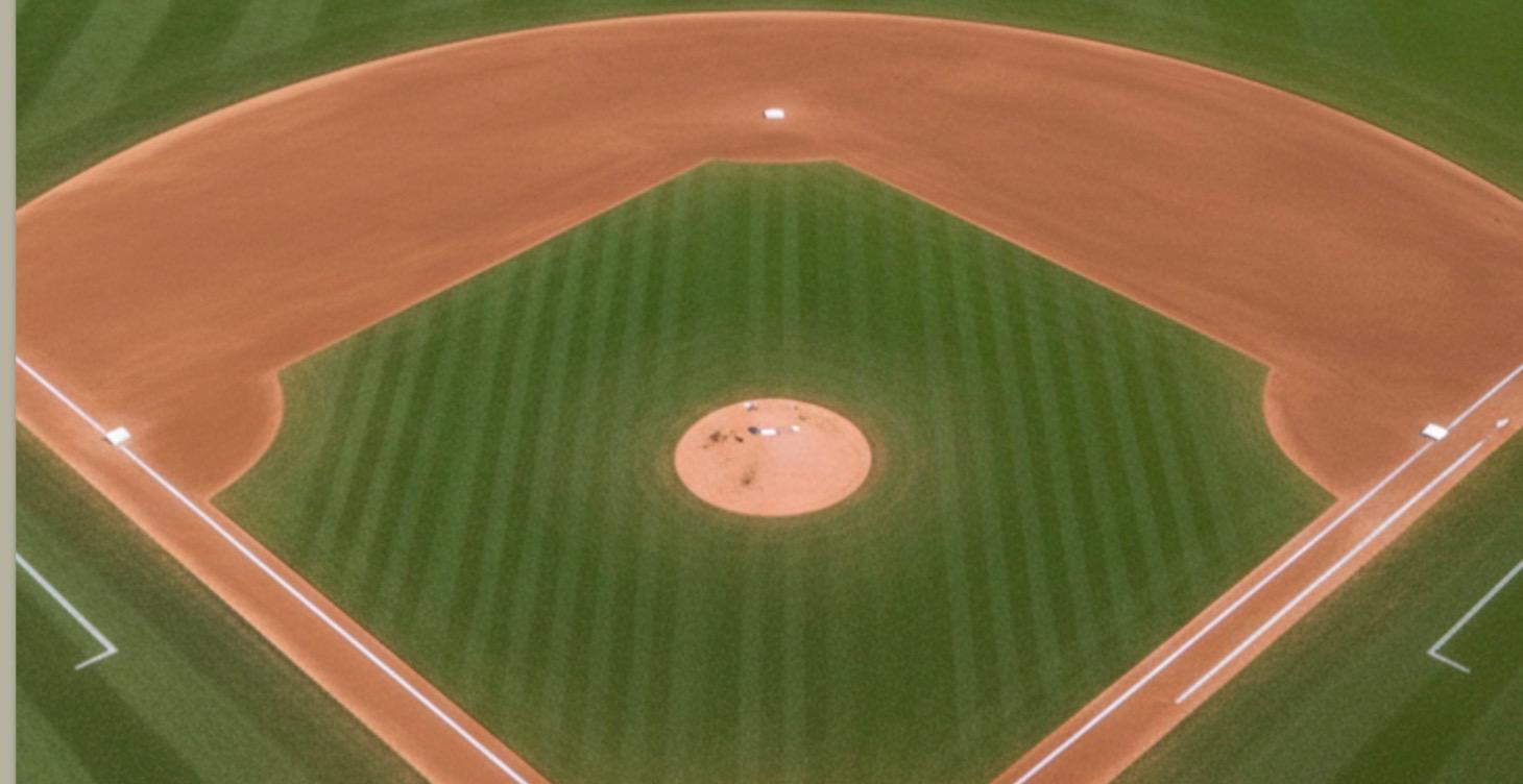 The Infield Playbook:  for Youth Infielders