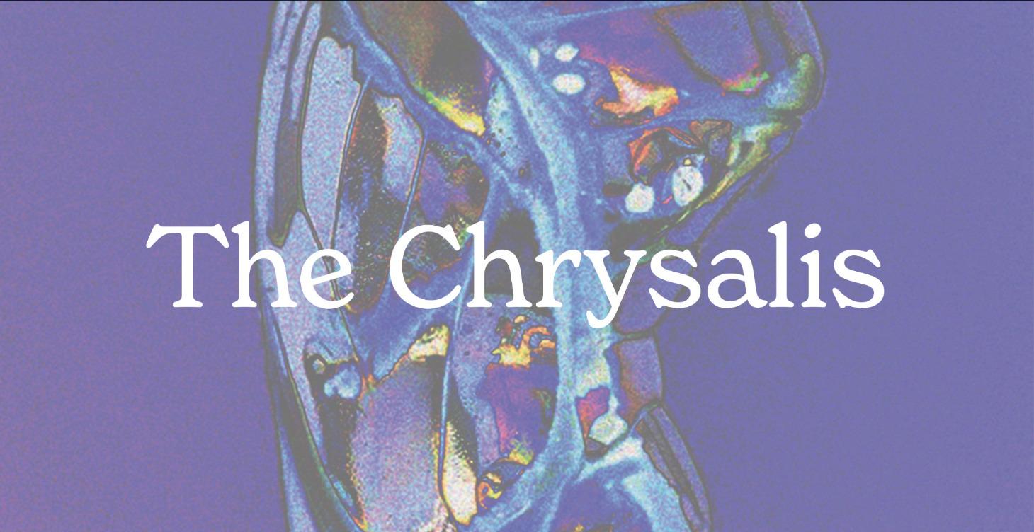 The Chrysalis