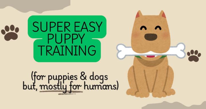 Super Easy Puppy/Dog Training