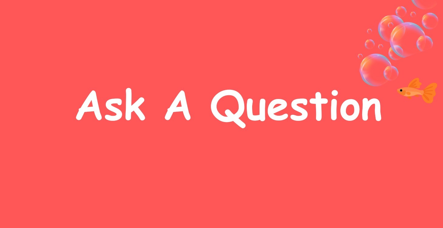 Ask your questions here