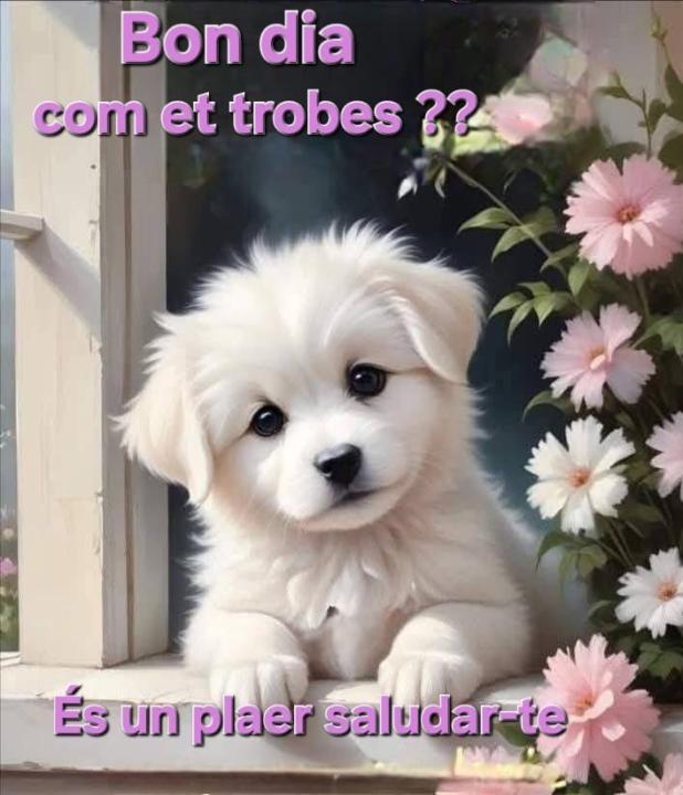 Dolors Muñoz Alvarez