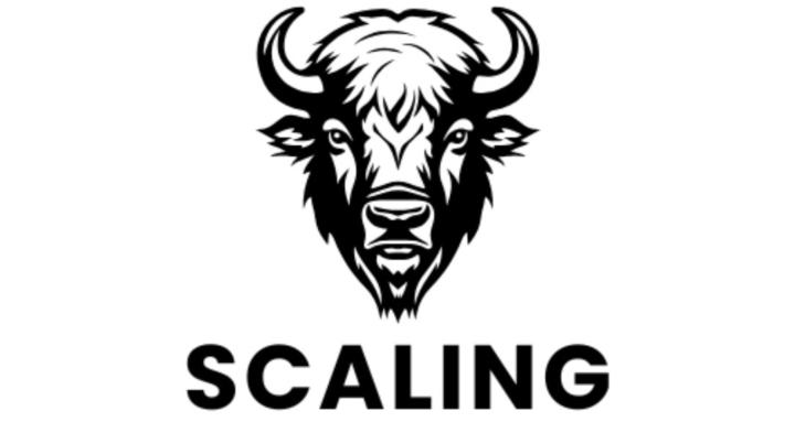 Bizon Scaling Team