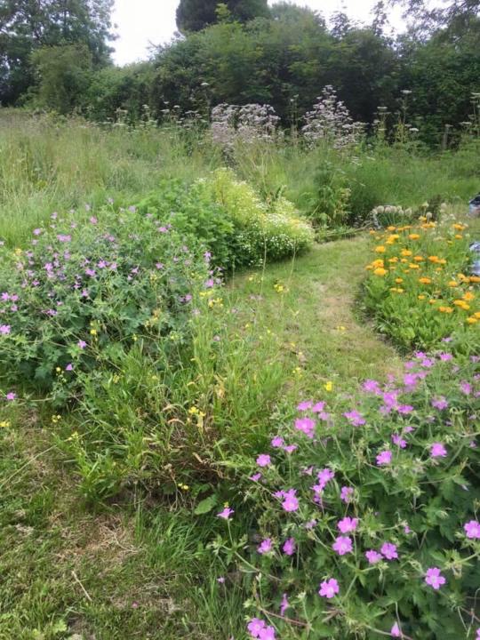 Thank you from the herbal edges...