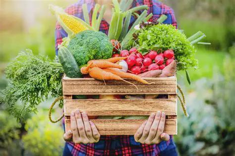 The New Food System we are all part of it.