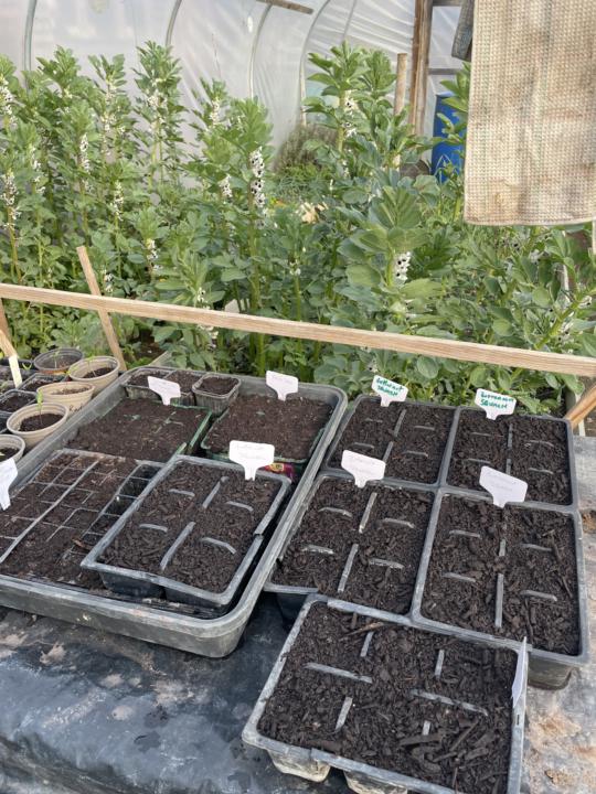 Finally after 13 months I can get my hands dirty 