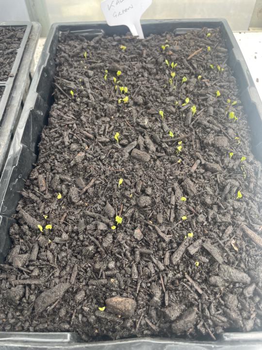 11days in and looking good 👍 