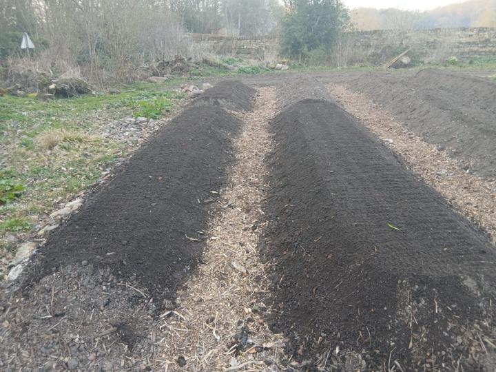 Grow nutritious food