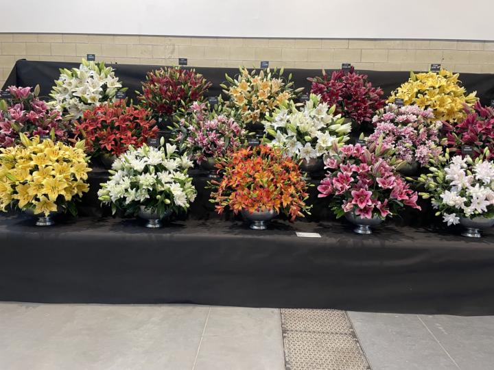 Flower Show 