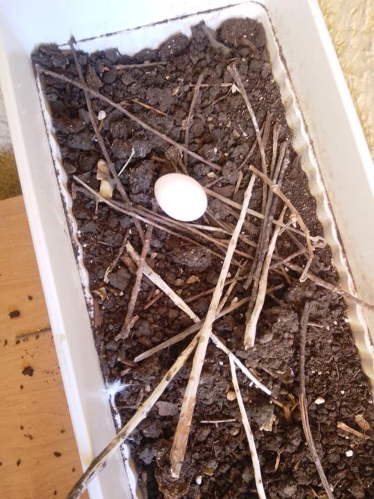 Мел Исмаилова