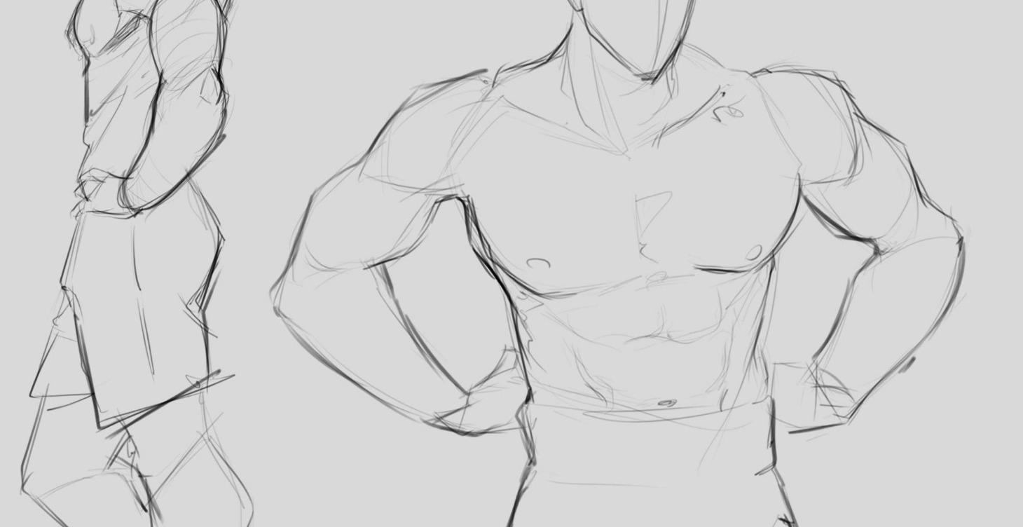 Human anatomy drawing.