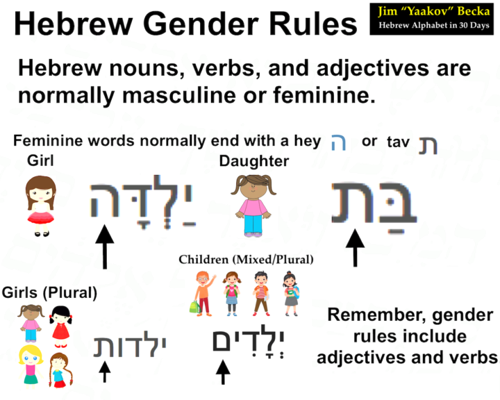 Hebrew Words have gender.